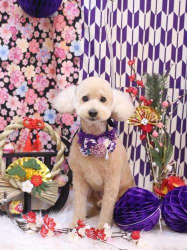 20250123モコくん